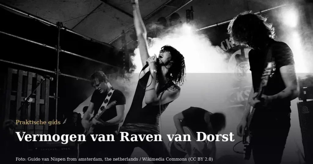 Vermogen van Raven van Dorst